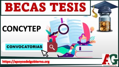 Becas Tesis 2021-2022