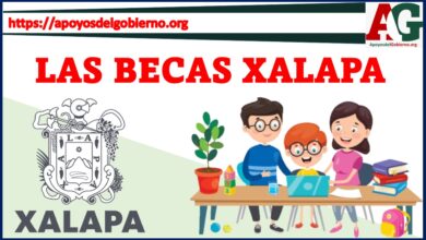 Las becas Xalapa 2021-2022