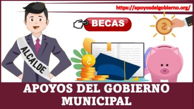 Apoyos del Gobierno Municipal