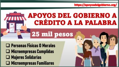 Apoyos del Gobierno a Crédito a la Palabra